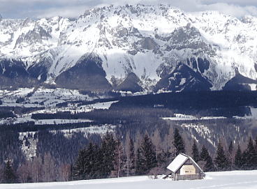 �V�����h�~���O