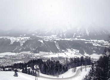 �V�����h�~���O