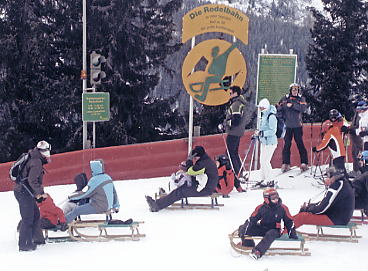 �V�����h�~���O