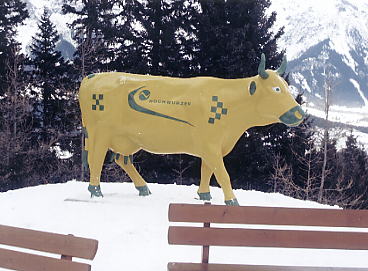 �V�����h�~���O