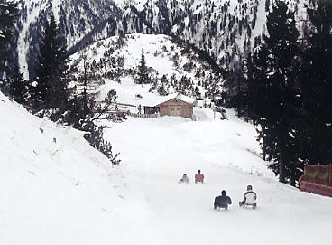 �V�����h�~���O