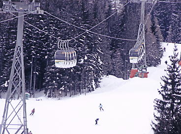 �V�����h�~���O