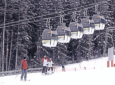 �V�����h�~���O