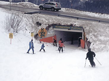 �V�����h�~���O