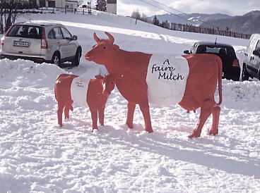 �V�����h�~���O