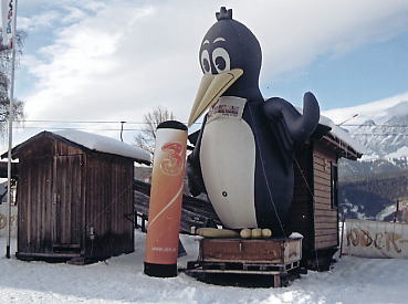 �V�����h�~���O