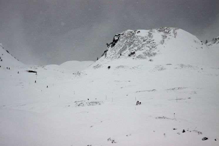 �I�[�X�g���A