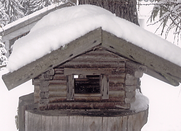 �o�h�K�X�^�C��