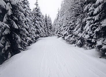 �o�h�K�X�^�C��