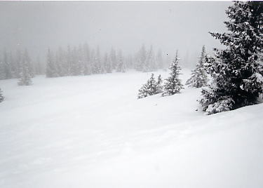 �o�h�K�X�^�C��