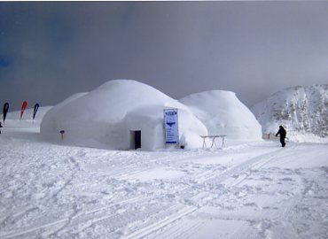 �J�v����