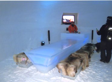 �J�v����