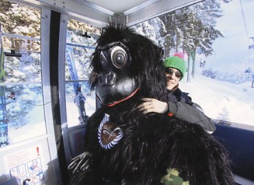 �c�F���A���[�[