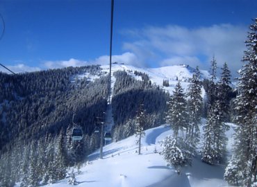 �c�F���A���[�[