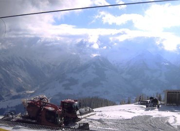 �c�F���A���[�[