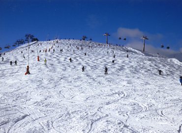 �c�F���A���[�[