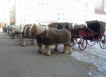 �U���c�u���N