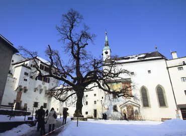 �U���c�u���N