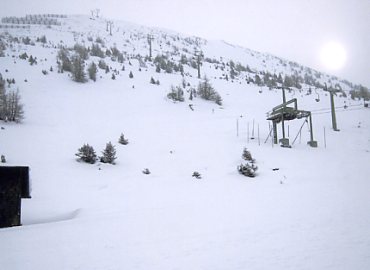 �p�b�`���[�R�[�t�F��