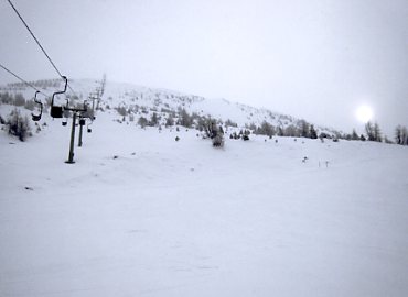 �p�b�`���[�R�[�t�F��