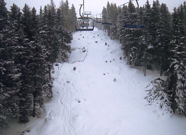 �p�b�`���[�R�[�t�F��