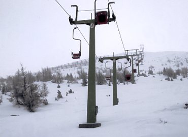 �p�b�`���[�R�[�t�F��