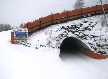 �p�b�`���[�R�[�t�F��