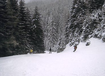 �p�b�`���[�R�[�t�F��