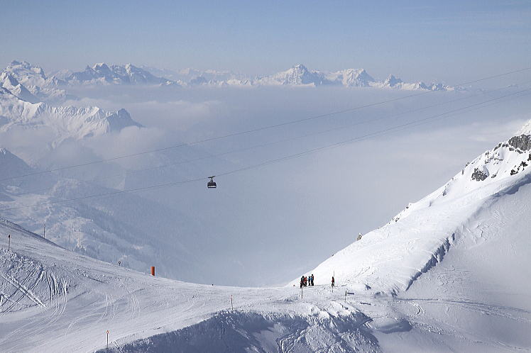 �T���A���g��