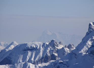 �U���N�g�A���g��