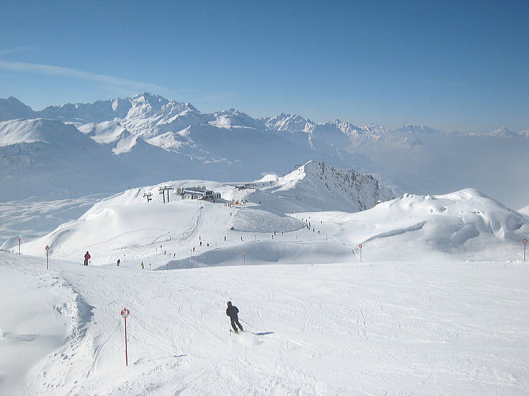 �T���A���g��