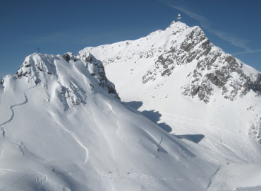 �U���N�g�A���g��