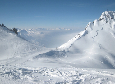 �U���N�g�A���g��