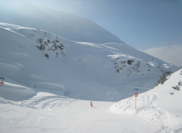 �T���A���g��