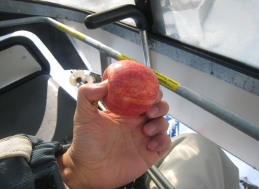 �U���N�g�A���g��