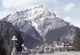 �X�L�[�ʐ^�F�o���t�̃J�X�P�[�h�}�E���e��