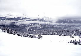 �X�L�[�ʐ^�F�o���t�A���C�N���C�[�Y