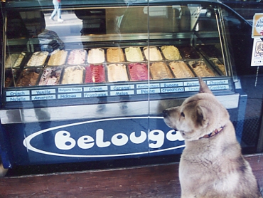 �A�C�X�N���[����