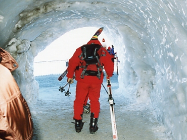 �G�M���C�[���E�h�D�E�~�f�B