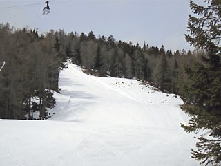 �g�t�@�[�i