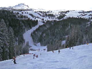 �A���^�o�f�B�A