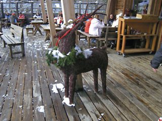 �A���^�o�f�B�A