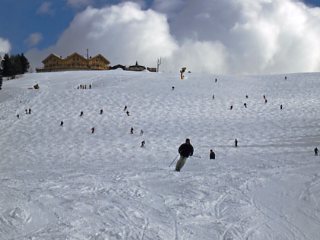 �A���^�o�f�B�A