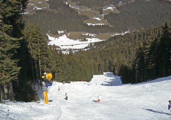 �A���^�v�X�e���A