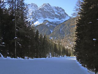 �A���^�v�X�e���A