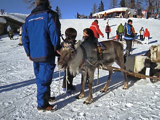 �A���^�v�X�e���A