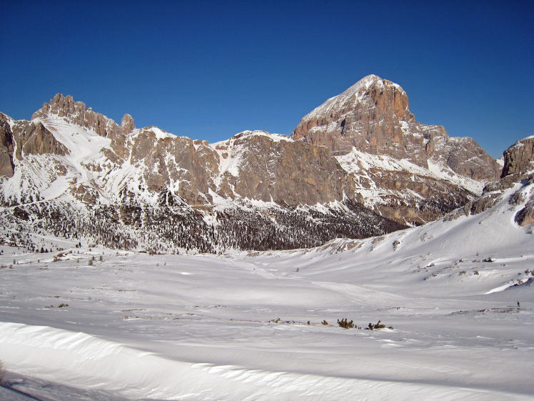 �g�t�@�[�i