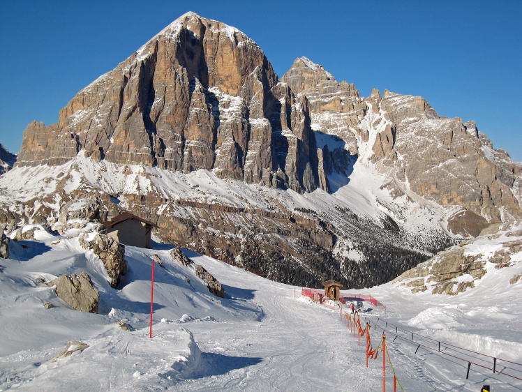 �g�t�@�[�i