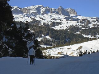 ���K�b�c�I�[�C