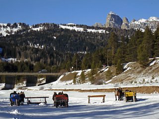 �A�������^���[���̔n��